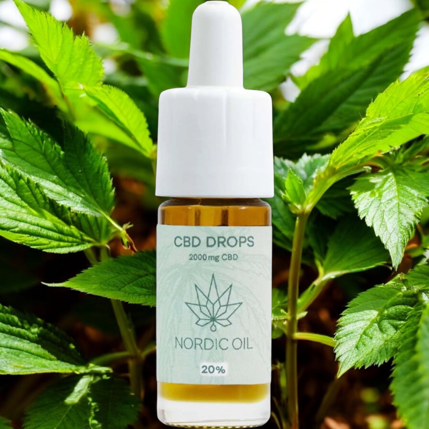 CBD Öl Plus (20%) 10 ml