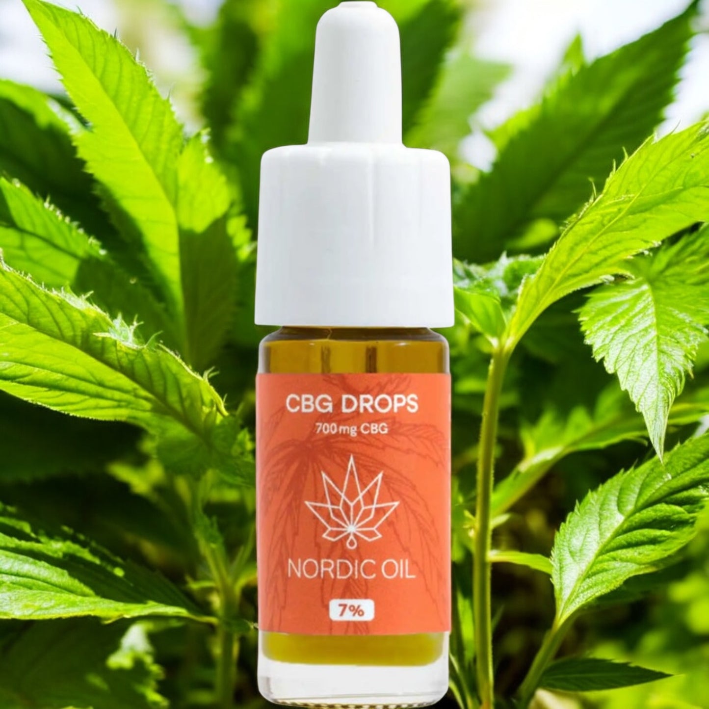 CBG Öl (7%) 10 ml