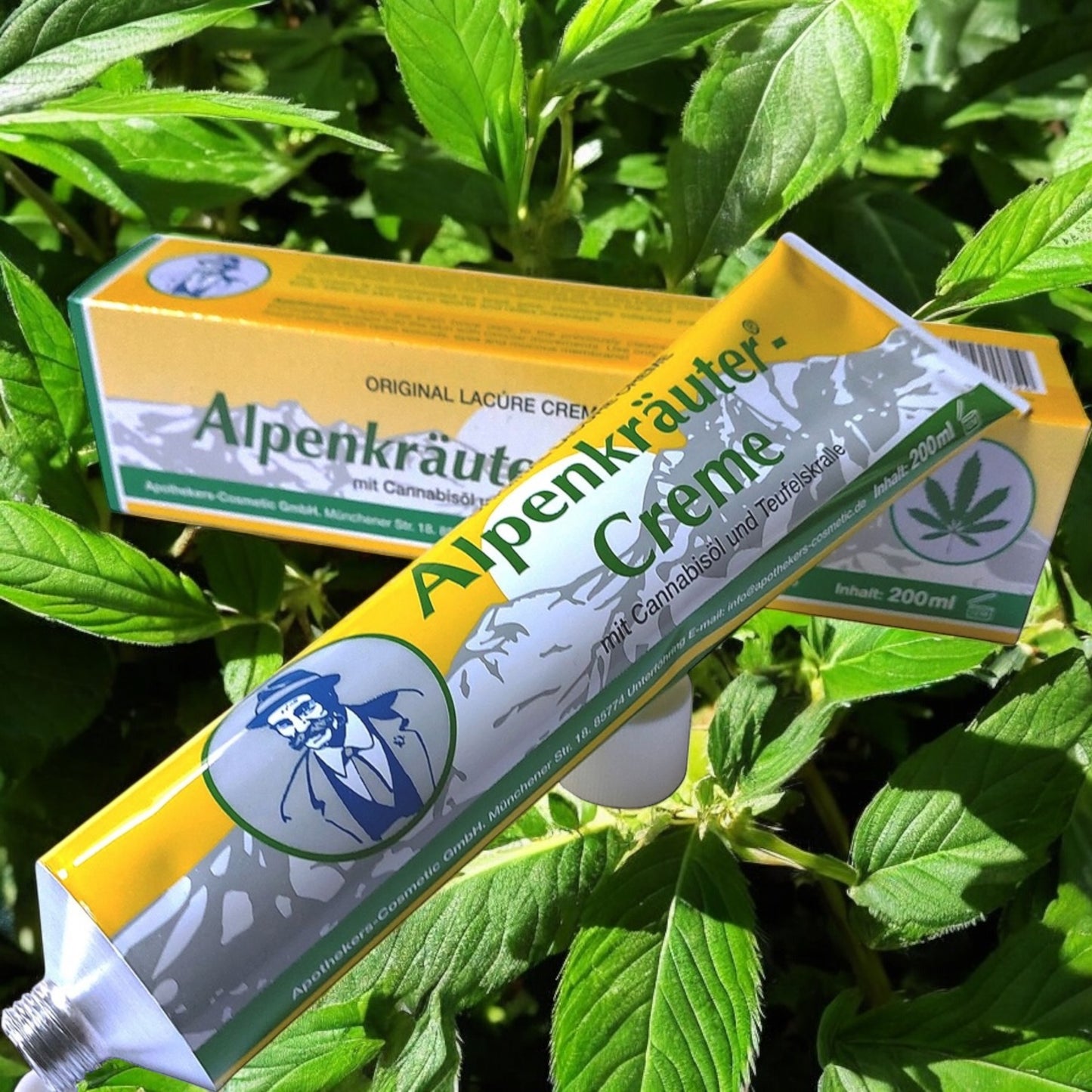 Alpenkräuter-Creme mit Cannabisöl und Teufelskralle 200 ml