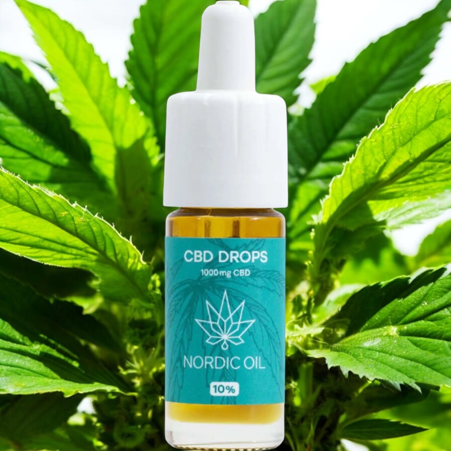 CBD Öl Plus (10%) 10 ml