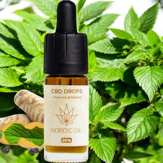 CBD Öl (20%) mit Curcumin 10 ml