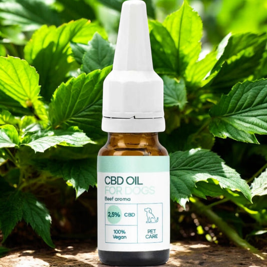 CBD Öl für Hunde - Rind (2,5%) 10 ml