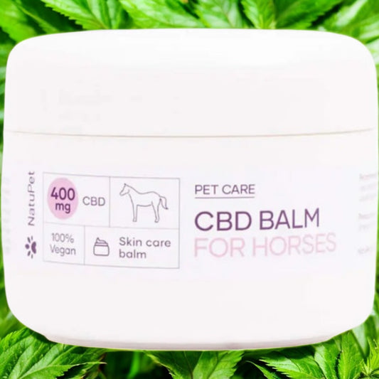 CBD Balsam für Pferde (400mg) 90 ml