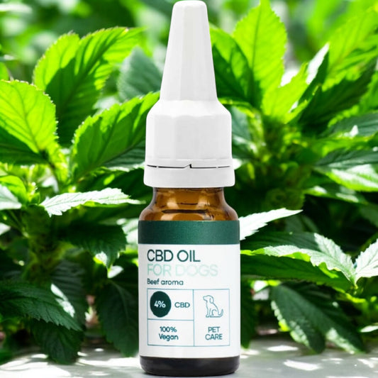 CBD Öl für Hunde - Rind (4%) 10 ml